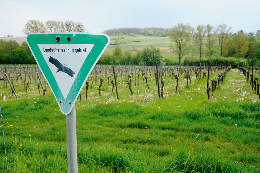 Die geplante Pestizidverordnung der EU –  Konkrete Flächenberechnungen für Rheinland-Pfalz.